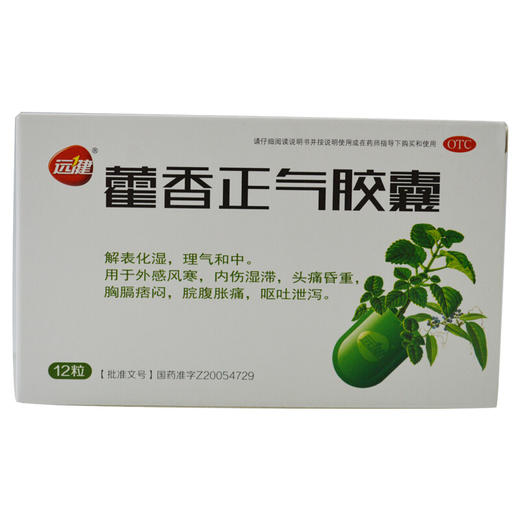 远健 藿香正气胶囊12粒 外感风寒头痛昏沉 脘腹胀痛呕吐泄泻 商品图0