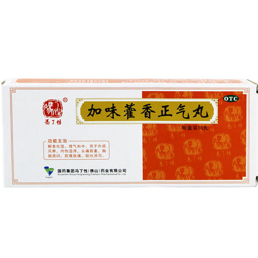 佛山冯了性 加味藿香正气丸 9g*10丸解暑中暑暑湿感冒呕吐腹泻 商品图0