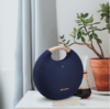 【样机】哈曼卡顿 （Harman Kardon）Onyx Studio5 音乐星环 蓝牙音箱 低音炮 电脑音箱 便携音响 桌面音箱 商品缩略图2