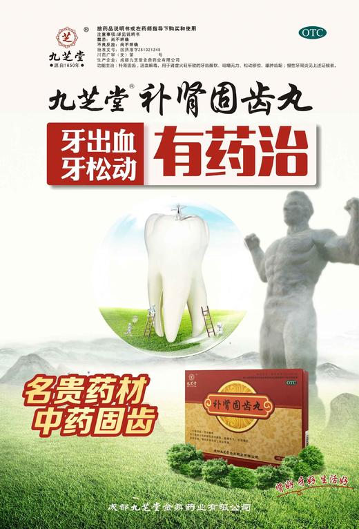 九芝堂补肾固齿丸4g*8袋肾虚火旺牙齿酸软松动活血解毒慢性牙周炎 商品图6