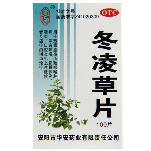安灯 冬凌草片 100片 清热消肿 慢性扁桃体炎 咽炎 喉炎 口腔炎药 商品图2