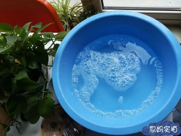 【下架】sago洗衣液;宝宝洗衣皂;纯植物免洗泡沫洗手液; 果蔬泡沫清洗