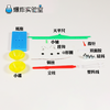 天平小秤 商品缩略图4