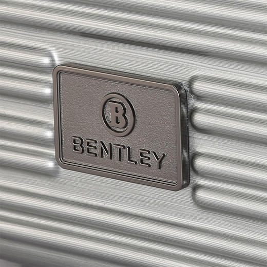 BL-L220500 BENTLEY 收纳整理包-科技银 商品图3