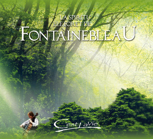 我的心在法国苏活4CD | 新世纪、疗愈音乐 风潮音乐 商品图2