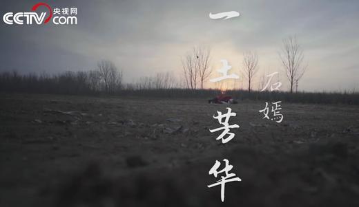 一土芳华 商品图0