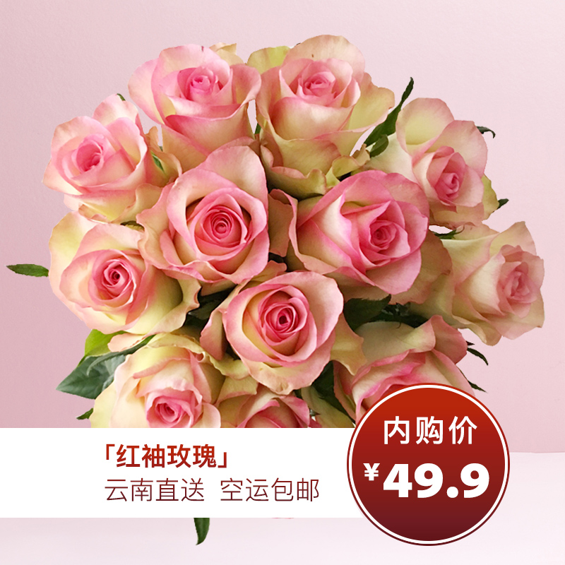 【红袖玫瑰18枝，实发20枝】玫瑰中的经典品种，白瓣粉边，清雅迷人，适合居室摆放