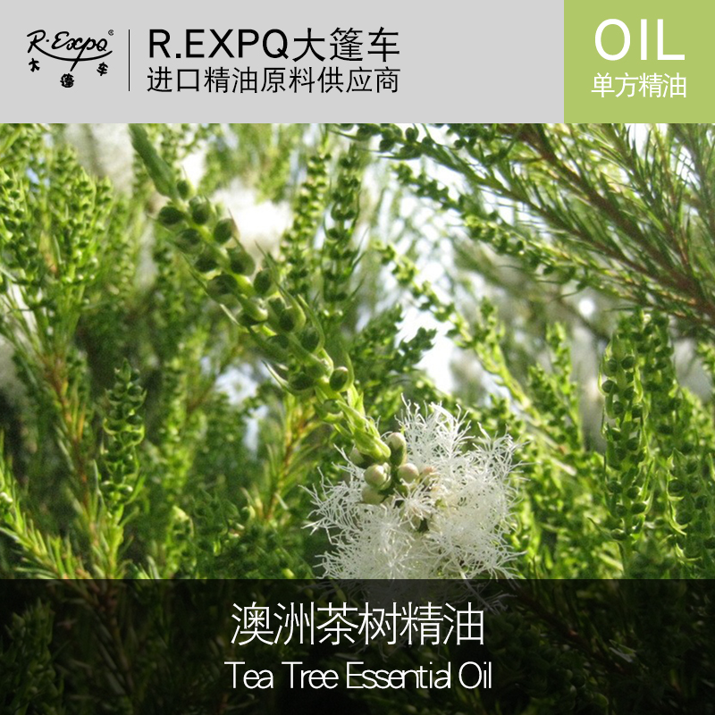 澳洲茶树精油tea tree essential oil互叶白千层进口