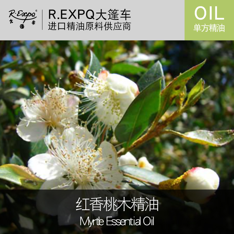 红香桃木精油myrtle essential oil桃金娘 进口单方