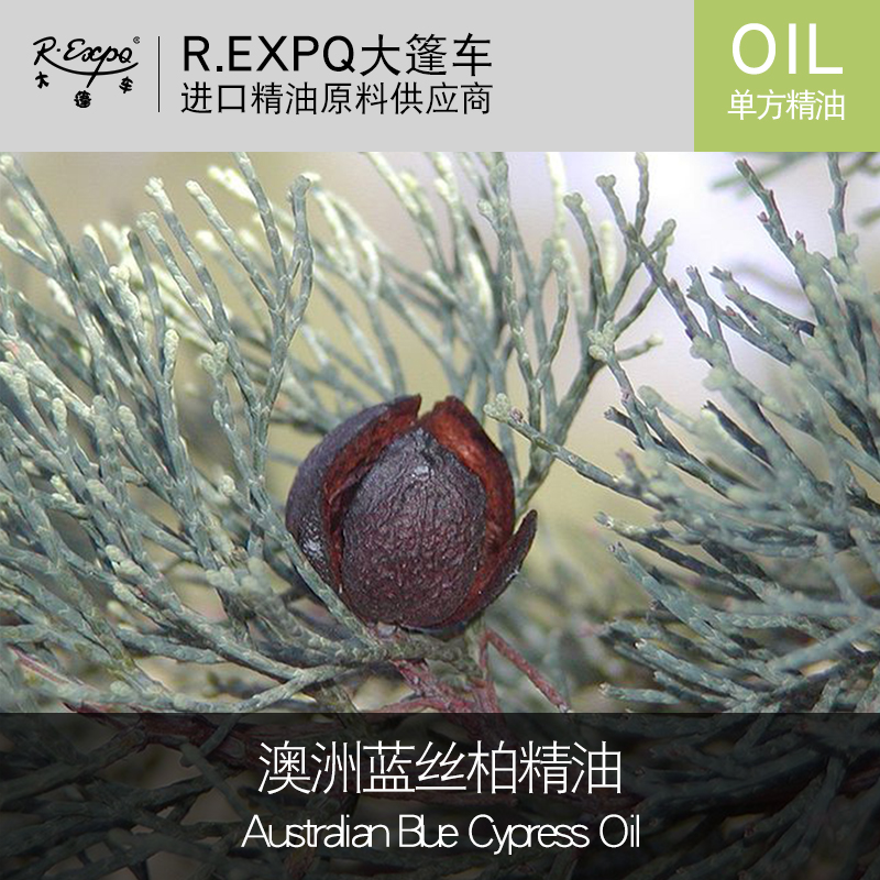 澳州蓝丝柏精油australian blue cypress oil进口单方精油原料批发