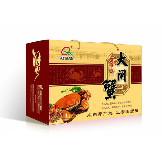 阳澄湖大闸蟹--礼盒首选 商品图3
