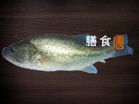鲈鱼/斤