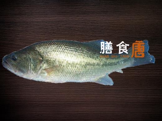 鲈鱼/斤 商品图0
