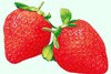 20181016公交车-多规则实物商品 商品缩略图0