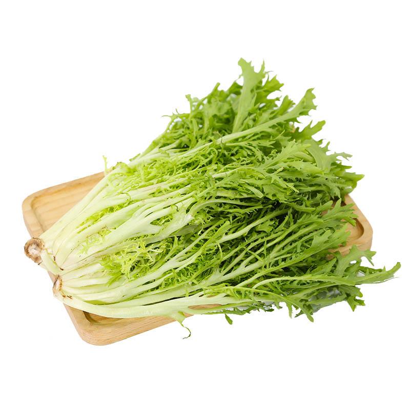 精品苦菊(约250g)
