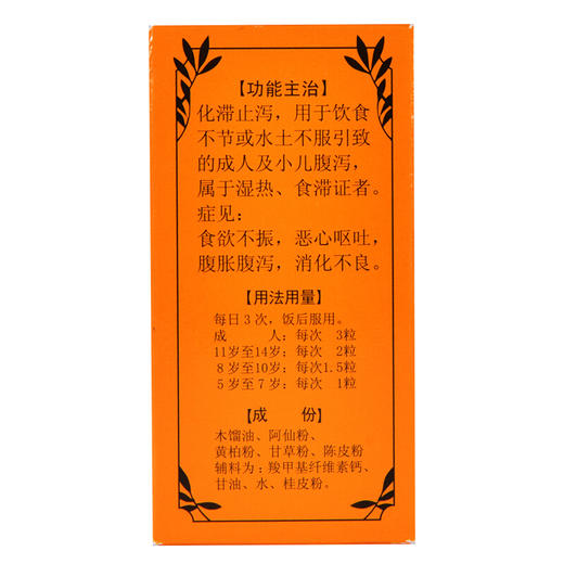喇叭正露丸100粒化滞止泻胃腹胀腹泻 日本胃药 呕吐消化不良 商品图2