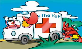 21.vet visit 商品图0