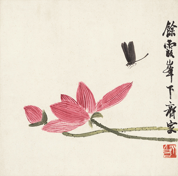 中式风—齐白石 蜻蜓荷花图 纸本34.5x34.