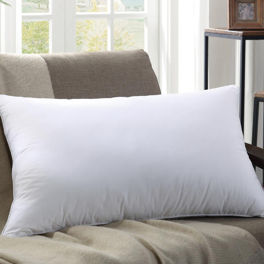 MZX-013 馨柔护颈对枕 商品图0