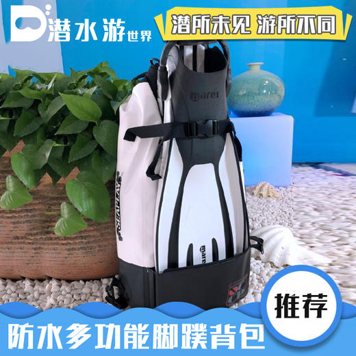 【装备脚蹼包】SEAPLAY 脚蹼双肩背包 水肺自由潜水装备包 自由潜防水包 商品图0