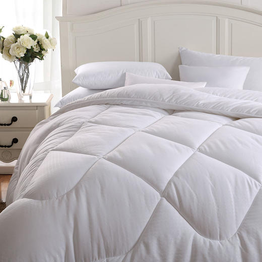 MXW-003 竹炭抑菌被 商品图0