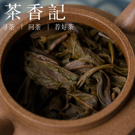 茶香记 景迈山生普2005年 中期茶  花香蜜韵 仓储干净 商品图4