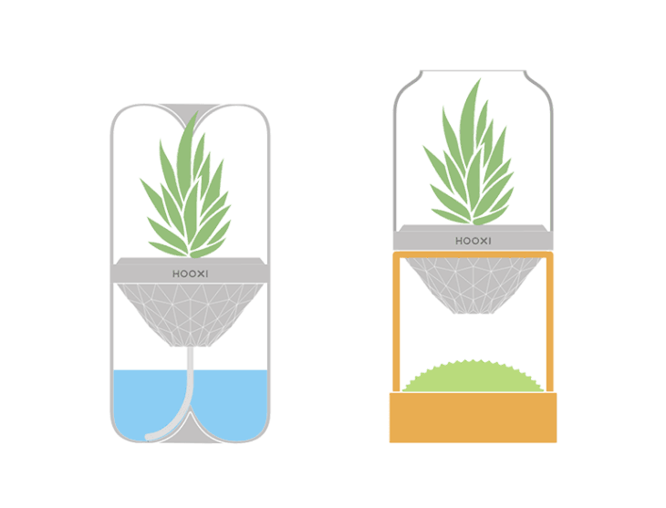 胶囊生态花房—瓶子食虫植物