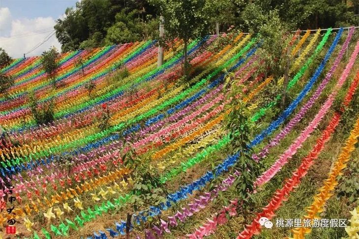 大田桃源里旅游度假区花海乐园 电子票