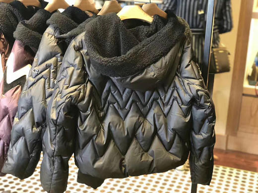 coach奥莱新款皱褶款羽绒服 商品图1