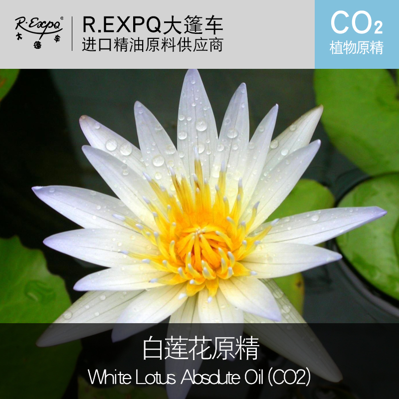 白莲花原精co2萃取white lotus absolute oil进口单方精油原料批发