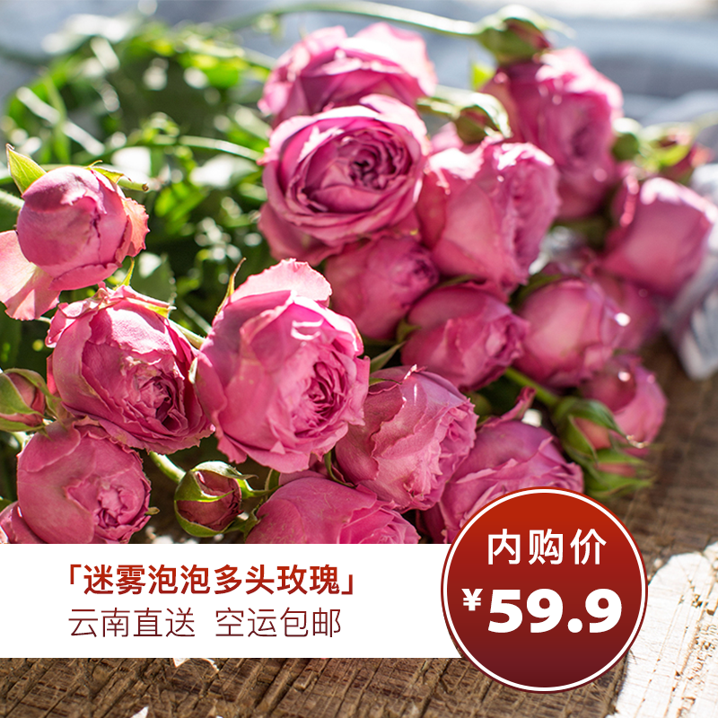 【迷雾泡泡多头玫瑰8枝，实发10枝】圆润可爱的花头，花色饱满浓密，香味好闻