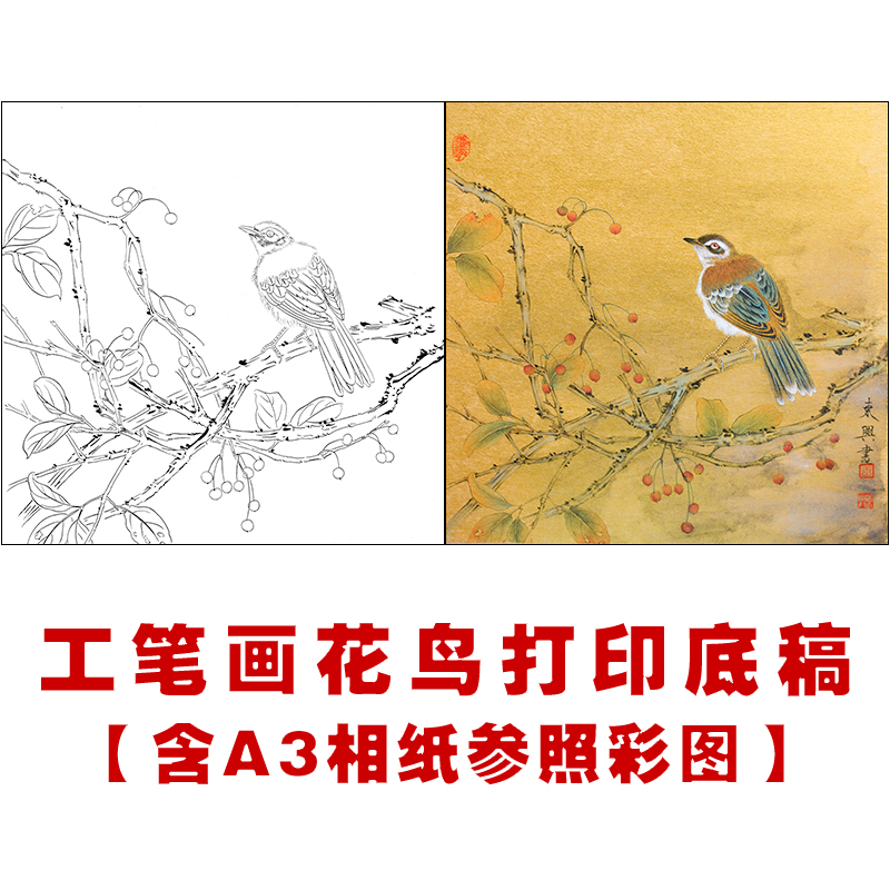 df97高清工笔画白描素材花鸟国画小品临摹练习线描底稿画谱打印稿