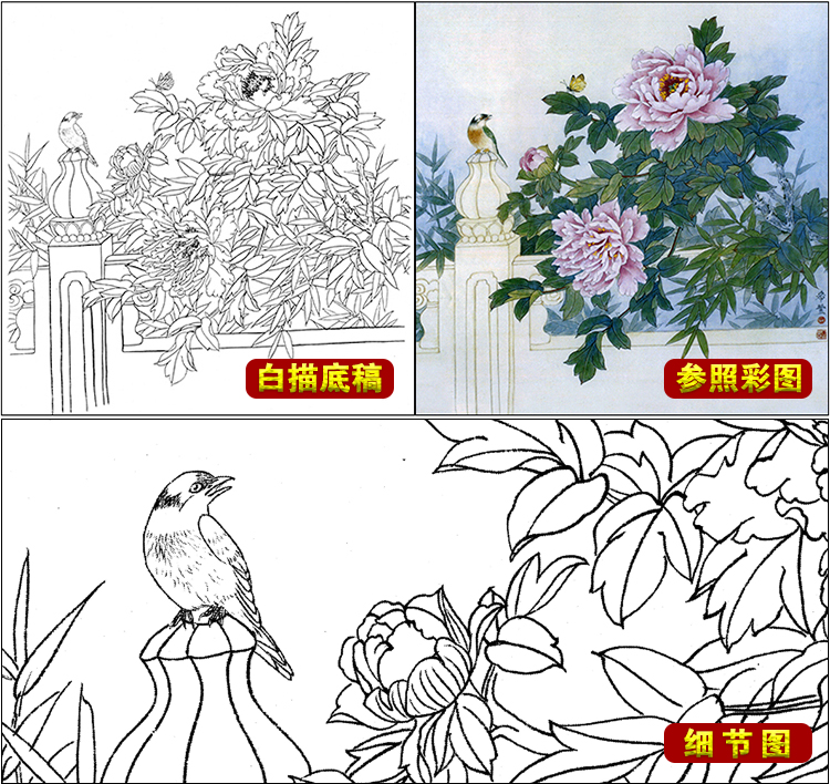 df83高清工笔画牡丹白描底稿临摹练习勾线国画花鸟临摹勾线打印稿