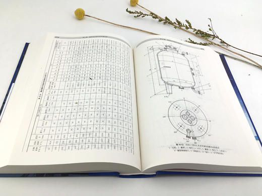 化工工艺设计手册（第五版）上下册套装 商品图6