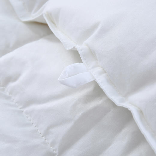 HBEM-001豪华鹅毛被 商品图5