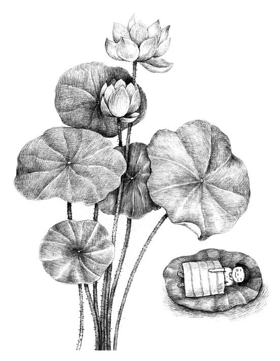 远的是诗意 近的是生活 