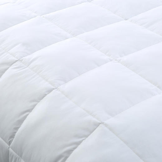 HBEM-001豪华鹅毛被 商品图3