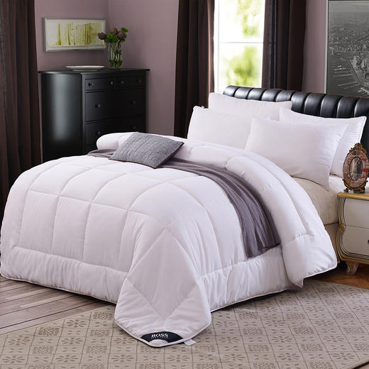 HBXW-009 豪华暖绒冬被 商品图0