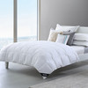 HBEM-001豪华鹅毛被 商品缩略图0