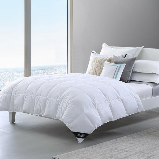 HBEM-001豪华鹅毛被 商品图0