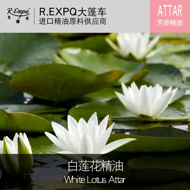 印度attar白莲花精油white lotus attar 古法阿塔低温