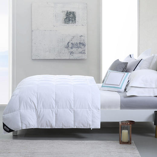 HBEM-001豪华鹅毛被 商品图1