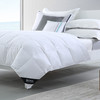 HBEM-001豪华鹅毛被 商品缩略图2