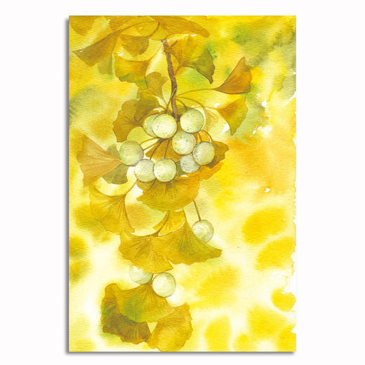 不落的星星 少年时 汤素兰美文系列 商品图3