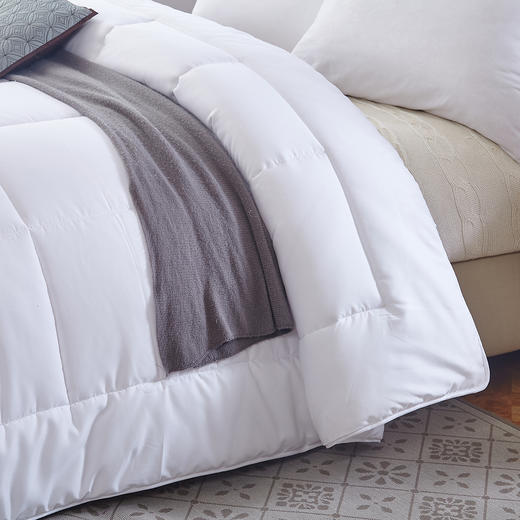 HBXW-009 豪华暖绒冬被 商品图1