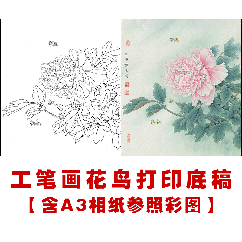 df76名家工笔画白描底稿国画花鸟牡丹入门底稿初学者