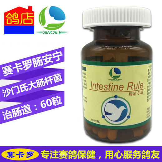 赛卡罗鸽药【肠安宁】胶囊60粒/大肠杆菌沙门氏/赛卡罗肠安宁肠道 商品图0