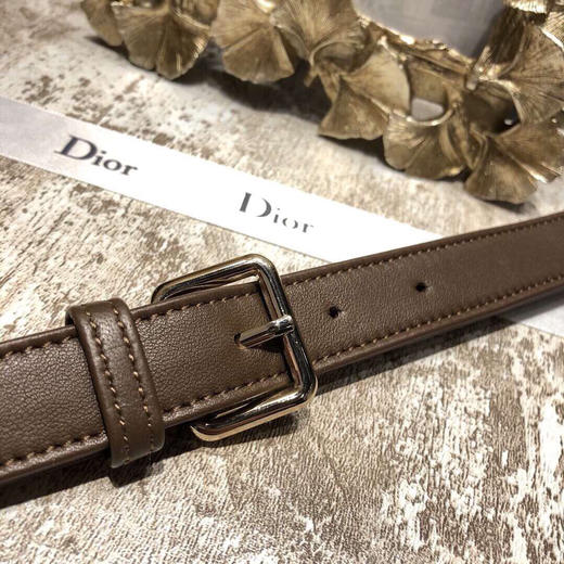 dior戴妃包五格巧克力色 24cm 商品图8