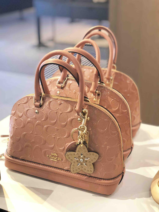 新款！Coach outlet 浮雕logo小号贝壳包 商品图1
