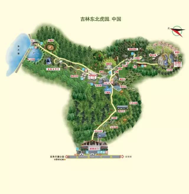 吉林省东北虎园55元抢购原价60元单虎园门票如游玩当天未收到短信请